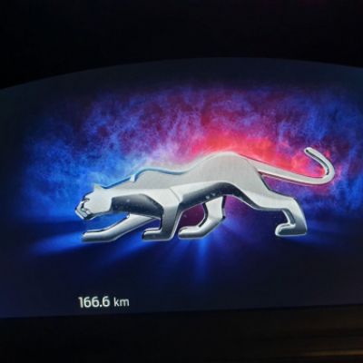 Logotipo Ford Puma