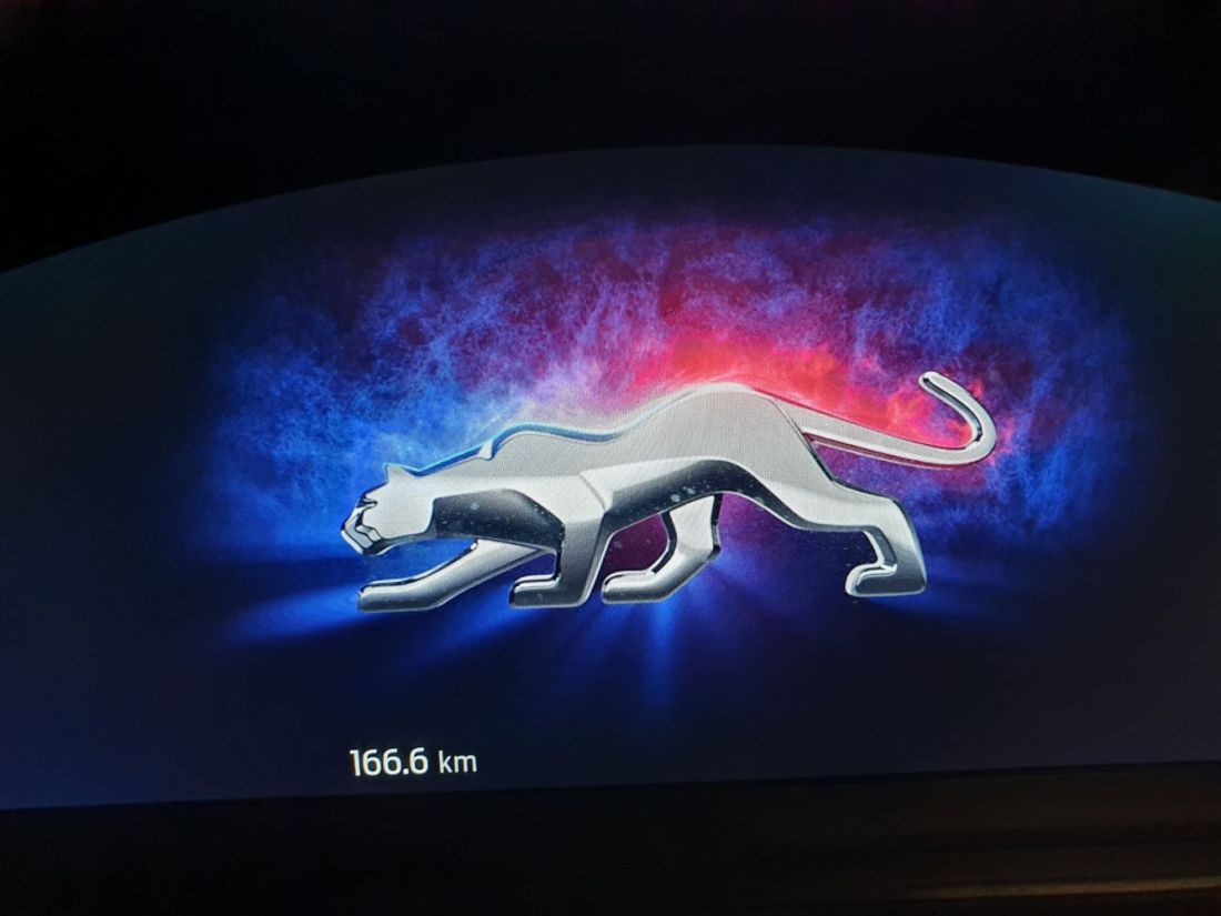 Logotipo Ford Puma